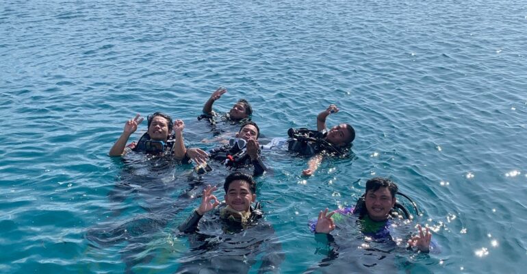Himdive